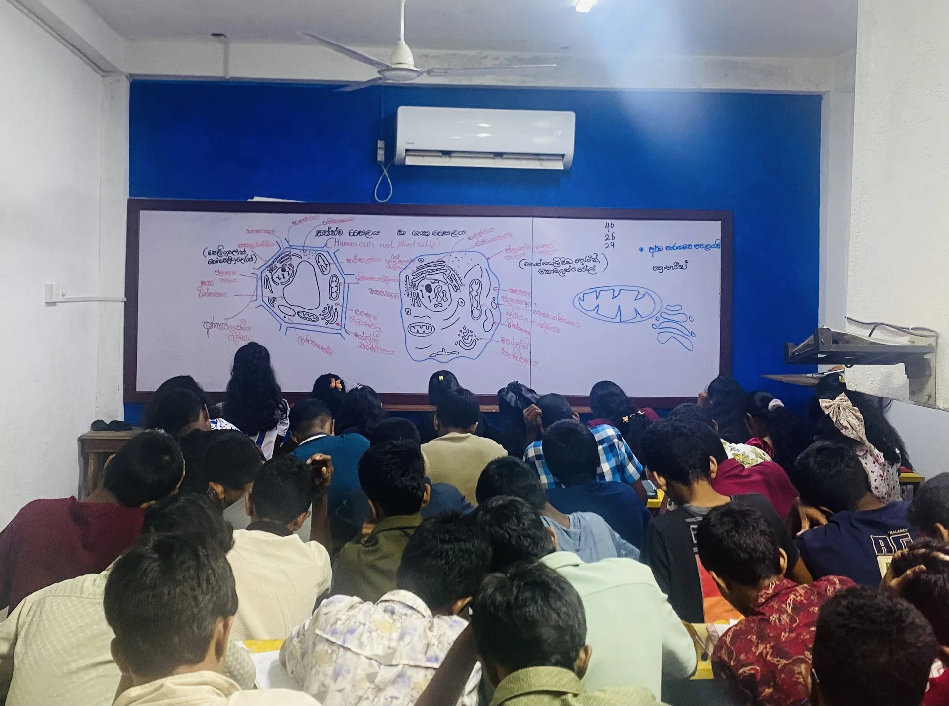 ICT Class Gallery Photo